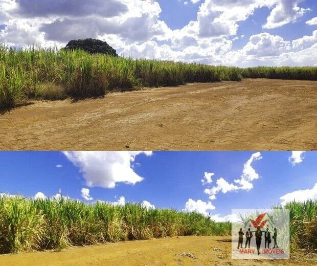 Fazenda/Sítios/Chácaras em Cajuru - Centro