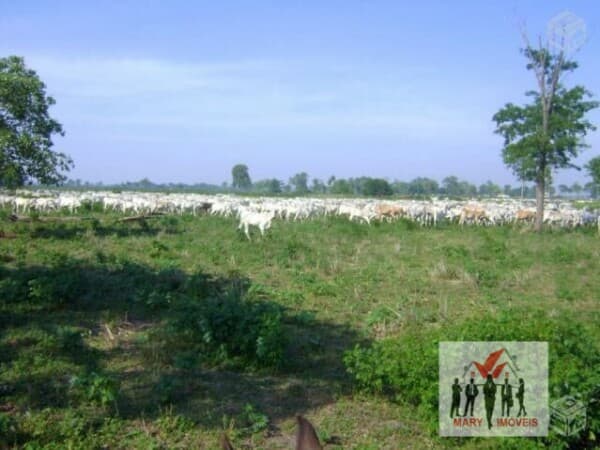 Fazenda/Sítios/Chácaras em Poconé - Zona Rural