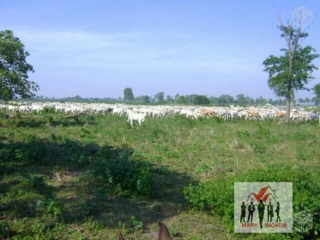 Fazenda/Sítios/Chácaras em Poconé - Zona Rural