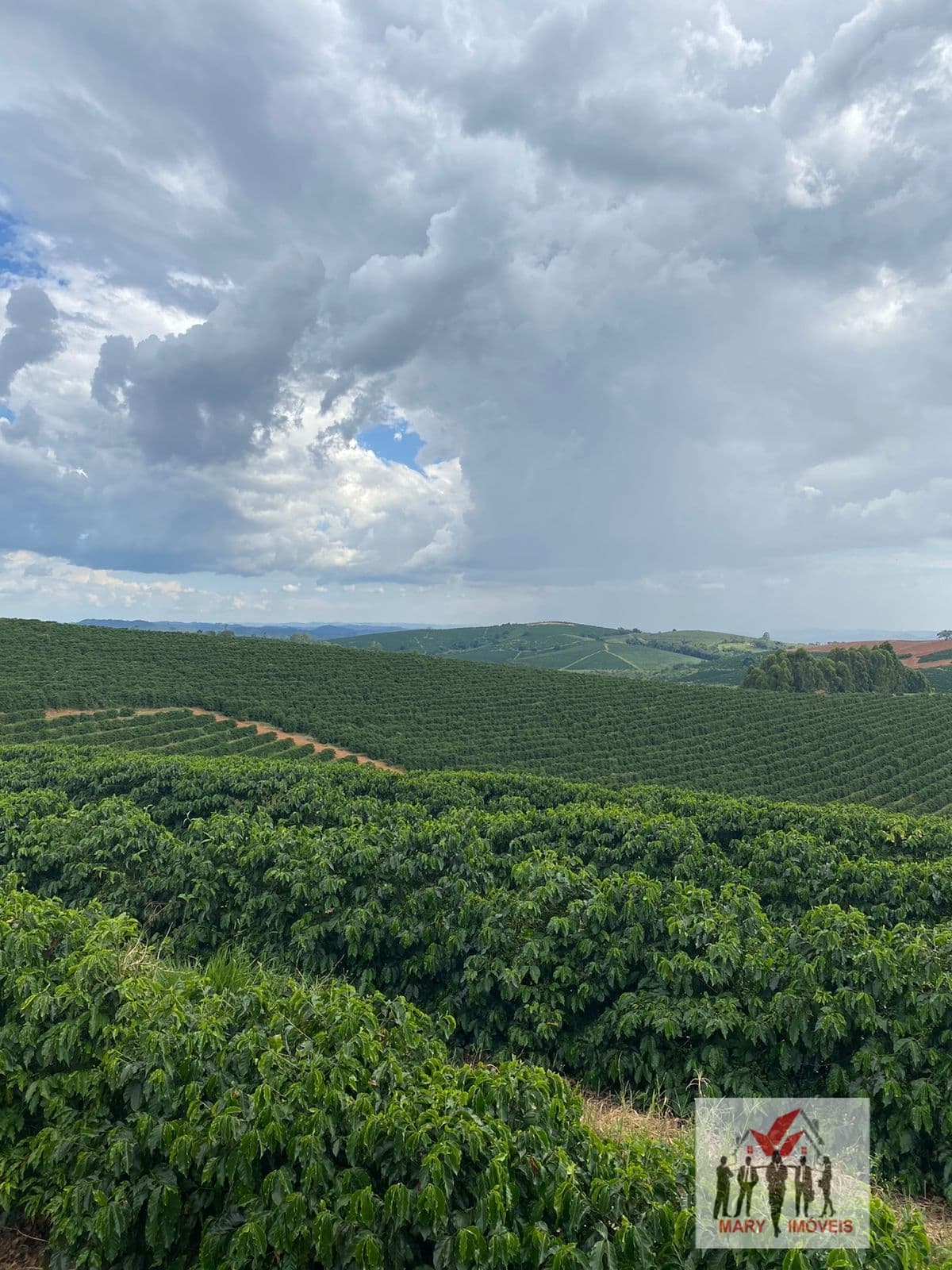 Fazenda/Sítios/Chácaras em Guaxupé - Centro