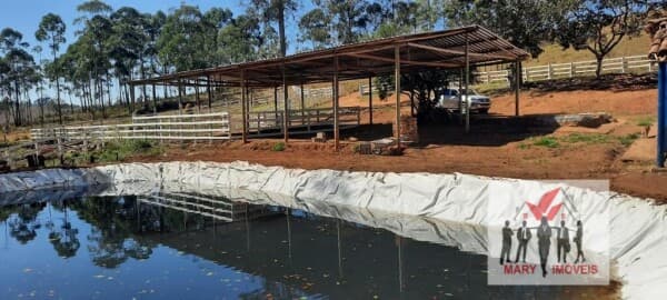 Fazenda/Sítios/Chácaras em Desterro de Entre Rios - Centro