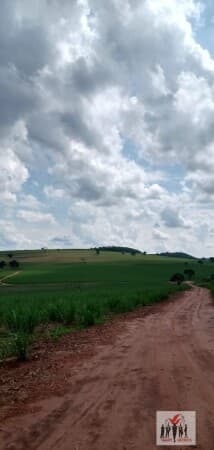 Fazenda/Sítios/Chácaras em Altinópolis - Centro