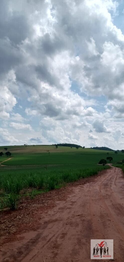 Fazenda/Sítios/Chácaras em Altinópolis - Centro