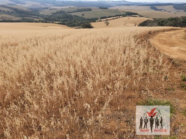 Fazenda/Sítios/Chácaras em Pouso Alegre - Centro