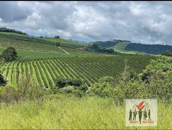 Fazenda/Sítios/Chácaras em Caconde - Centro