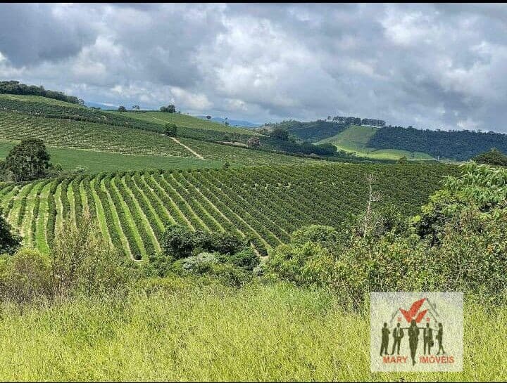 Fazenda/Sítios/Chácaras em Caconde - Centro