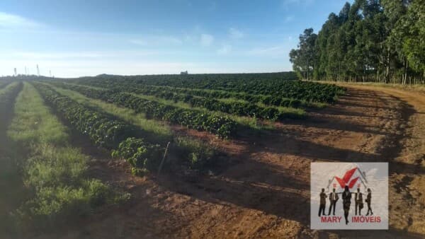 Fazenda/Sítios/Chácaras em Araxá - Centro