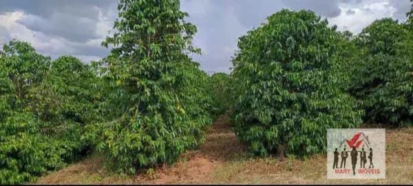 Fazenda/Sítios/Chácaras em Botelhos - Centro