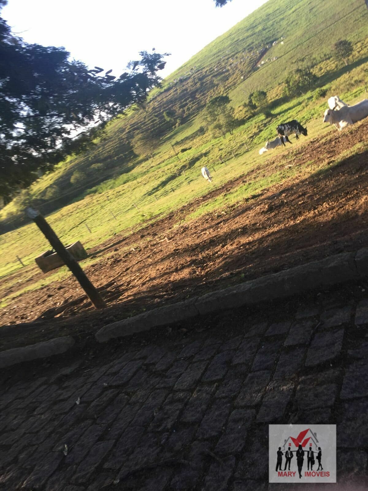 Fazenda/Sítios/Chácaras em Bragança Paulista - Centro