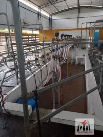 Fazenda/Sítios/Chácaras em São Gonçalo do Sapucaí - Centro