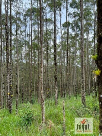 Fazenda/Sítios/Chácaras em Caconde - Centro