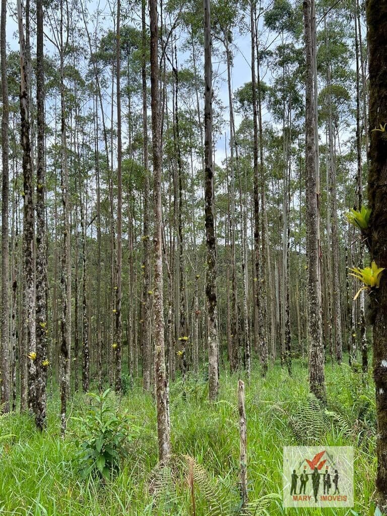 Fazenda/Sítios/Chácaras em Caconde - Centro