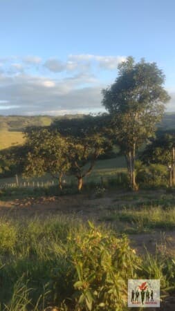 Fazenda/Sítios/Chácaras em Caldas - Centro