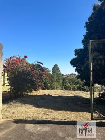 Lote/Terreno em Águas da Prata - Centro