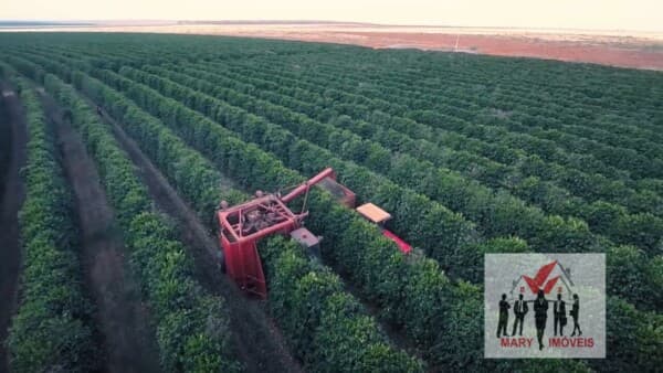Fazenda/Sítios/Chácaras em Buritizeiro - Centro