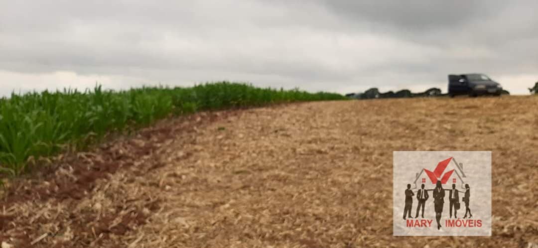 Fazenda/Sítios/Chácaras em Machado - Centro