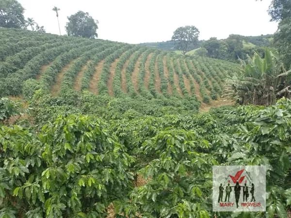 Fazenda/Sítios/Chácaras em Campestre - Centro