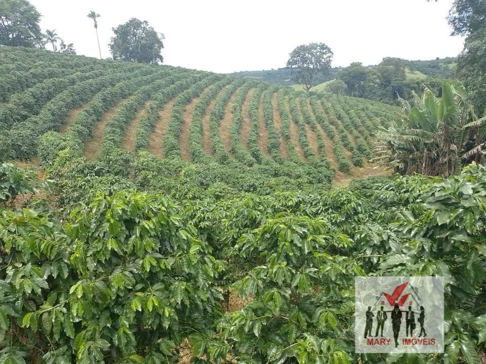 Fazenda/Sítios/Chácaras em Campestre - Centro