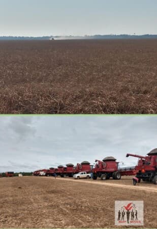Fazenda/Sítios/Chácaras em Araguaína - Centro