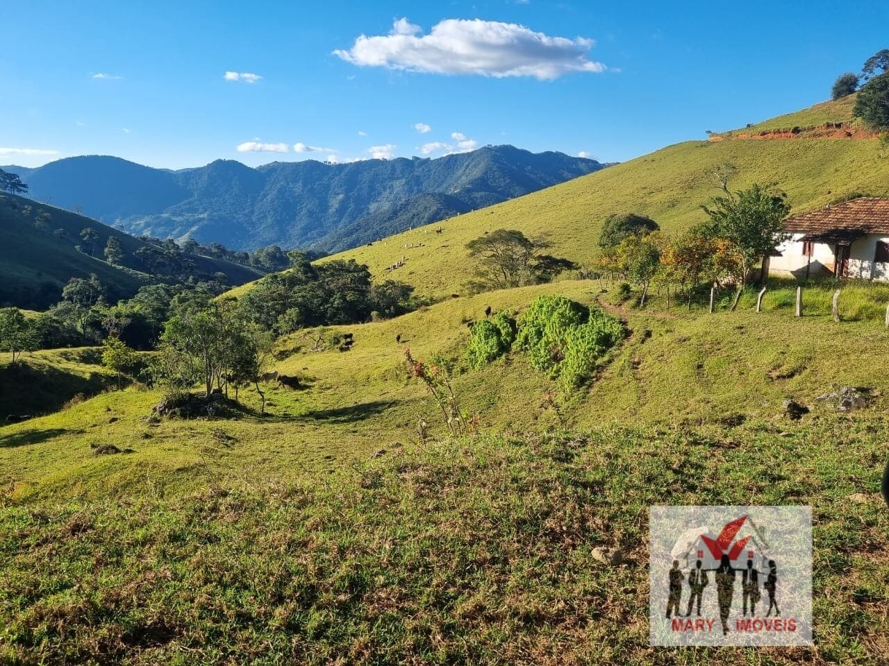 Fazenda/Sítios/Chácaras em Itajubá - Centro