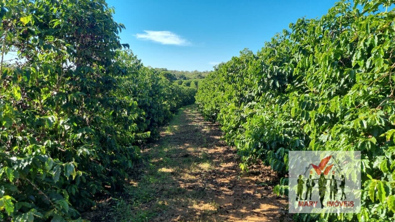 Fazenda/Sítios/Chácaras em Ilicínea - Centro