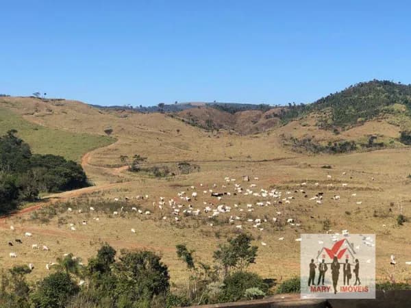 Fazenda/Sítios/Chácaras em Caconde - Centro