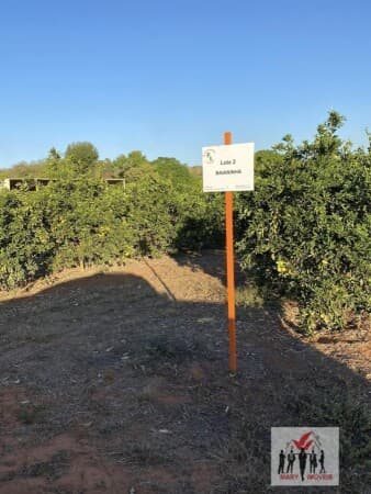 Fazenda/Sítios/Chácaras em Januária - Centro