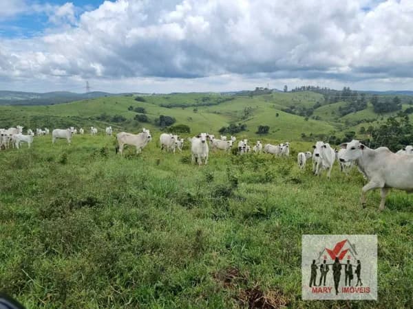Fazenda/Sítios/Chácaras em Jacutinga - Centro