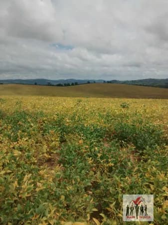 Fazenda/Sítios/Chácaras em Perdões - Centro