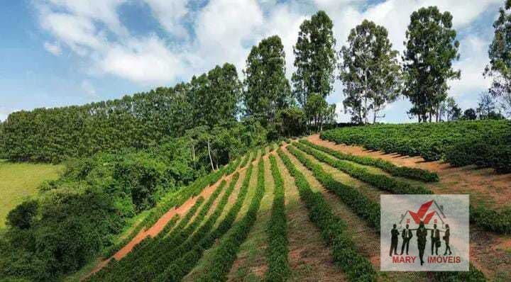 Fazenda/Sítios/Chácaras em Botelhos - Centro