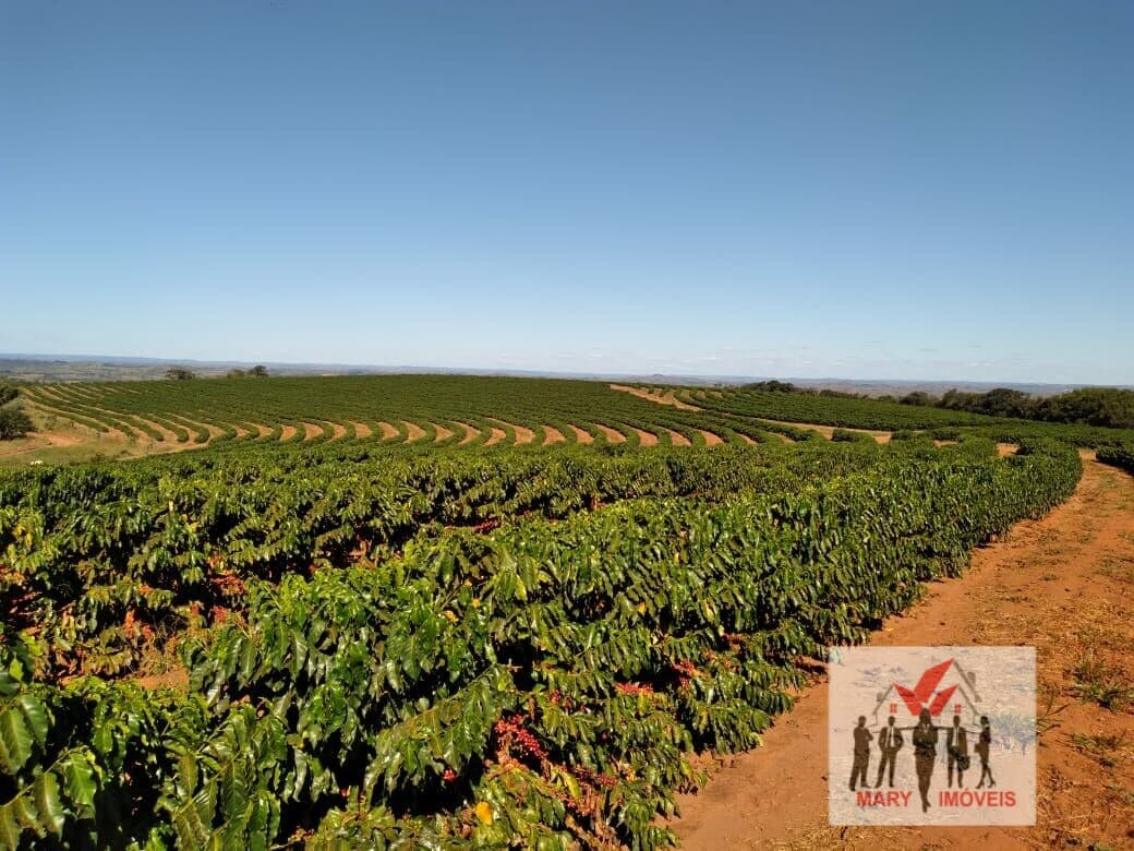 Fazenda/Sítios/Chácaras em Patos de Minas - Centro
