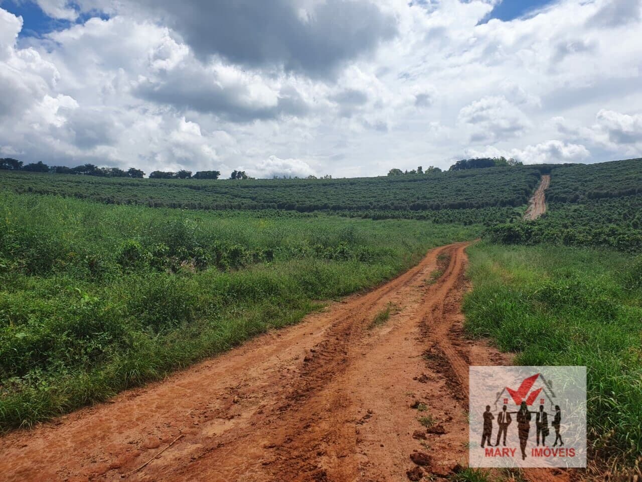 Fazenda/Sítios/Chácaras em Caxambu - Centro