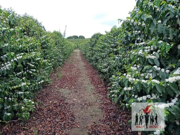 Fazenda/Sítios/Chácaras em Lavras - Centro
