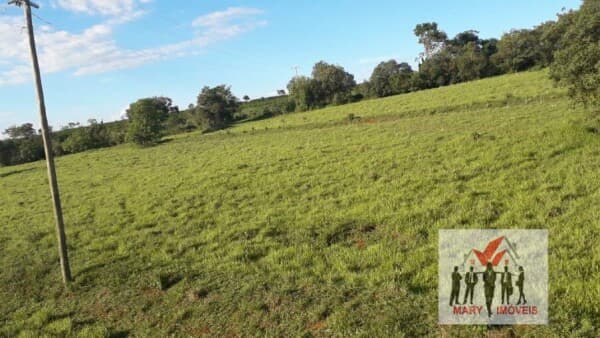 Fazenda/Sítios/Chácaras em São Sebastião do Paraíso - Centro