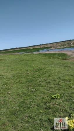 Fazenda/Sítios/Chácaras em Campos dos Goytacazes - Centro