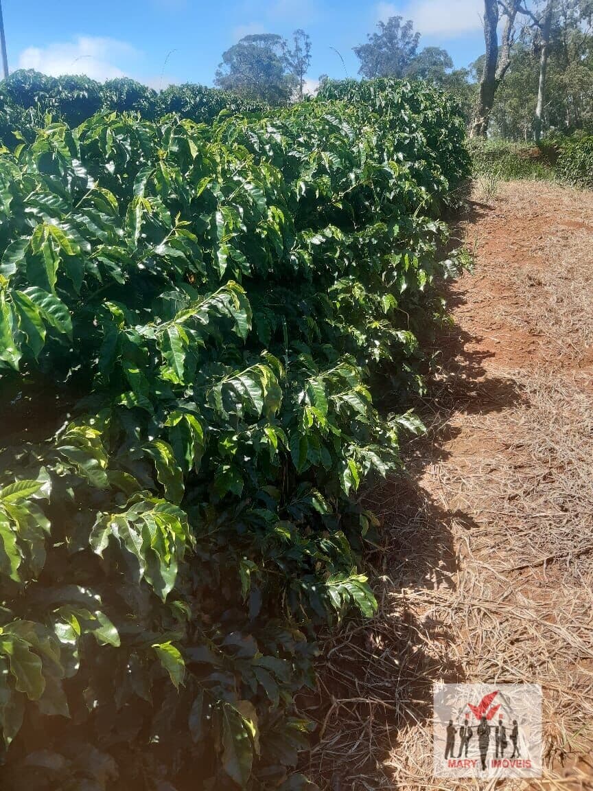 Fazenda/Sítios/Chácaras em Caconde - Centro