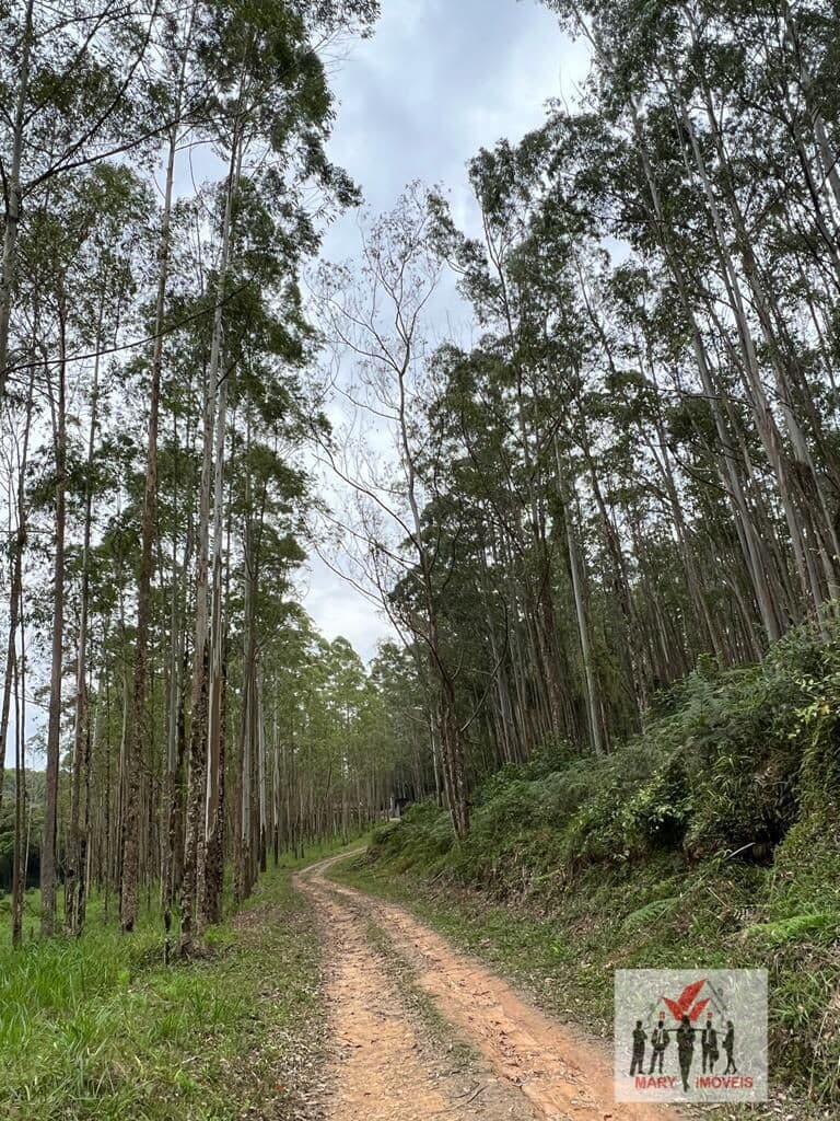 Fazenda/Sítios/Chácaras em Sorocaba - Centro