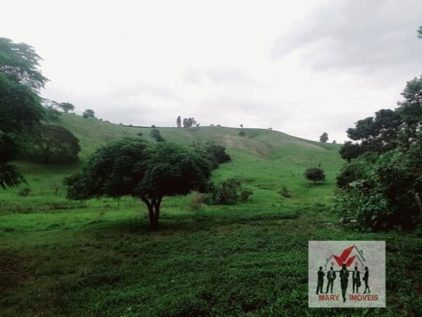 Fazenda/Sítios/Chácaras em Soledade de Minas - Centro