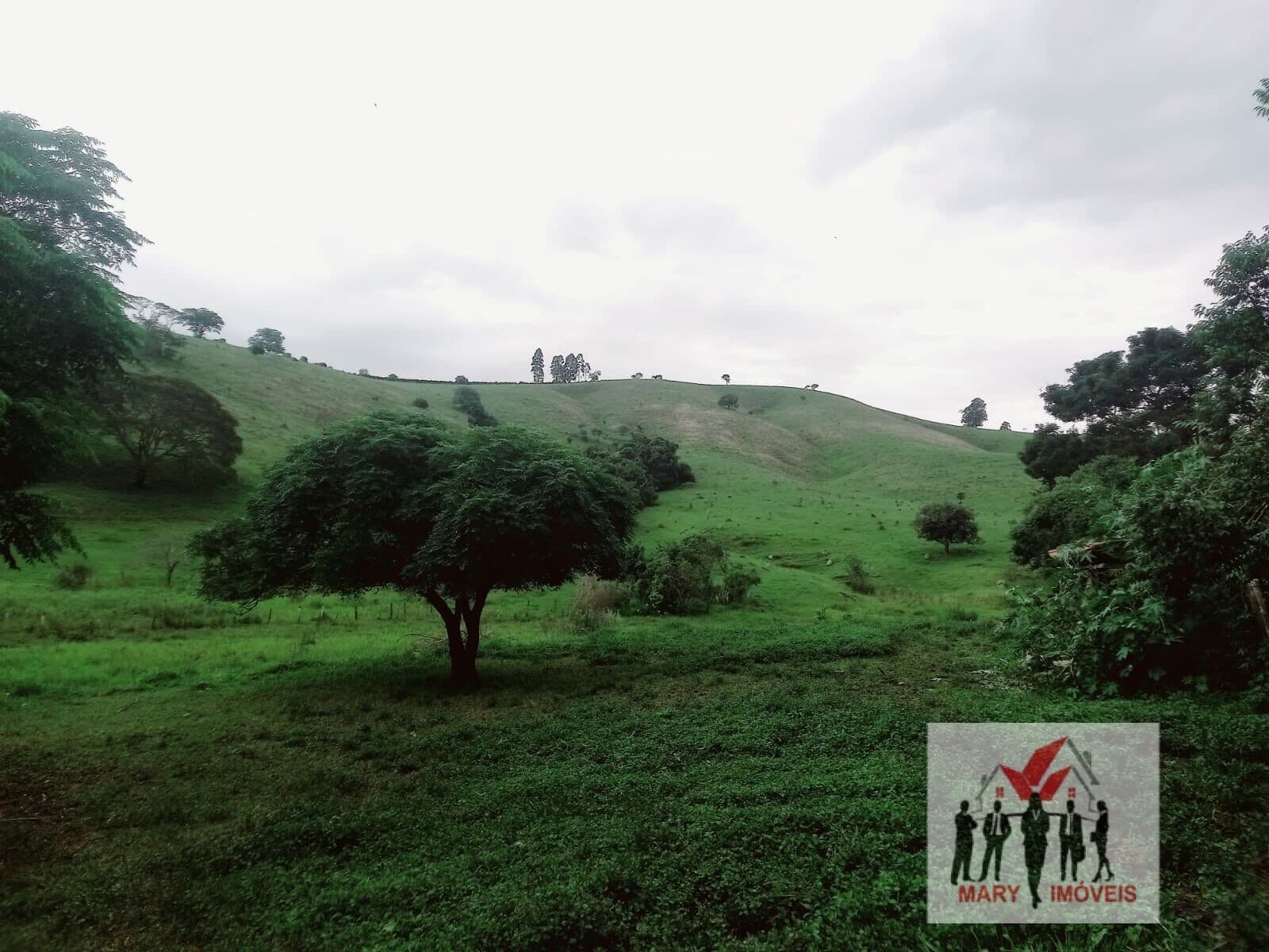 Fazenda/Sítios/Chácaras em Soledade de Minas - Centro