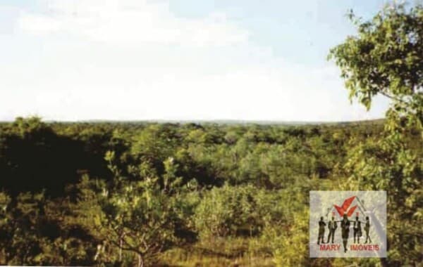 Fazenda/Sítios/Chácaras em Pintópolis - Centro