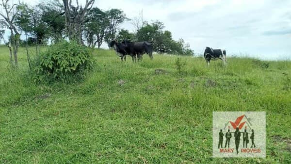 Fazenda/Sítios/Chácaras em Botelhos - Centro