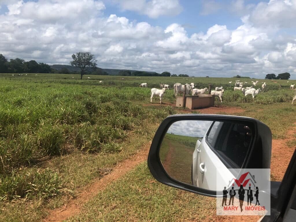 Fazenda/Sítios/Chácaras em Araguaína - Setor Central