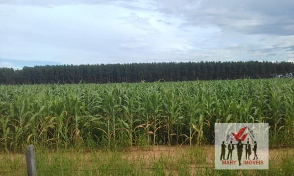 Fazenda/Sítios/Chácaras em Cuiabá - Centro Sul