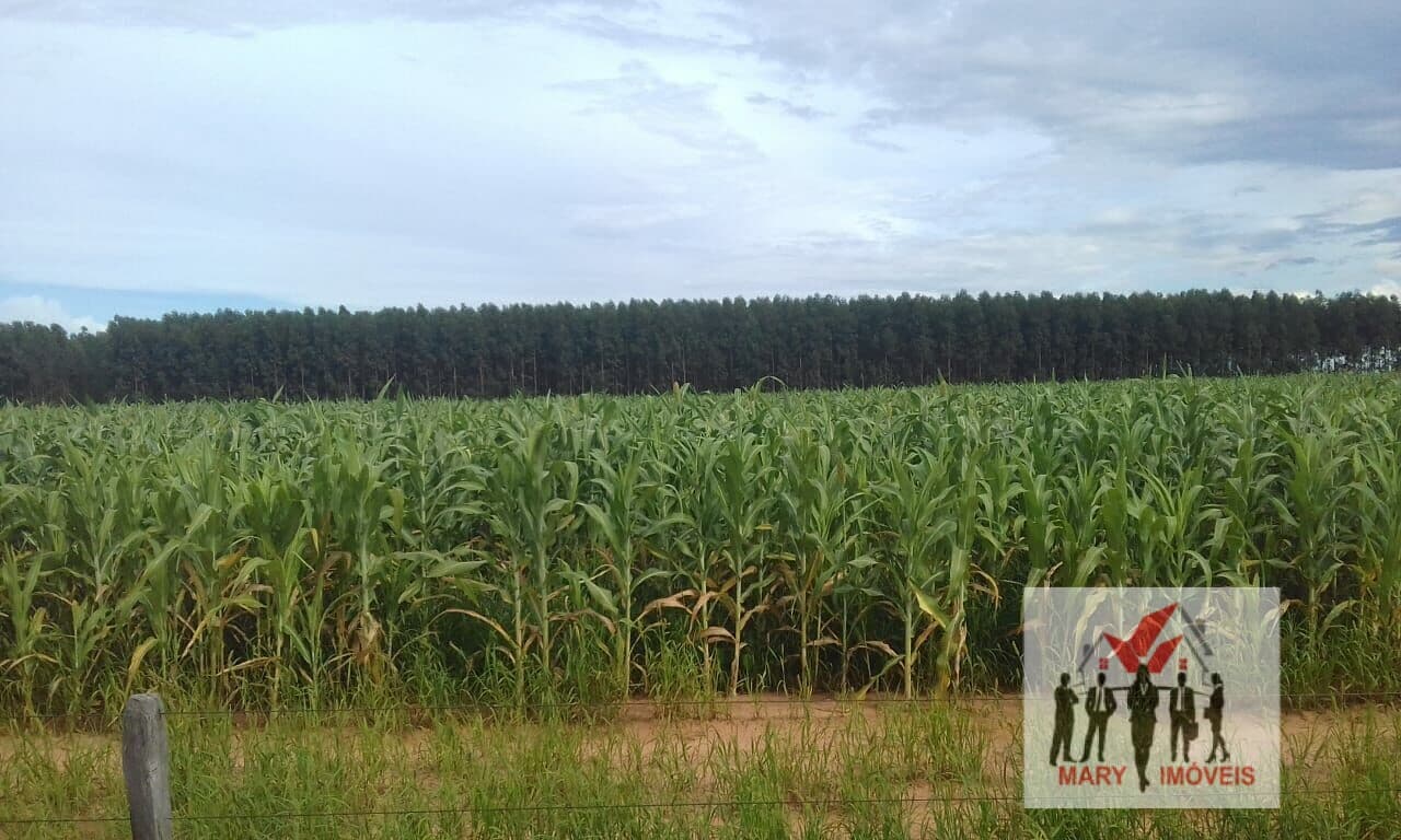Fazenda/Sítios/Chácaras em Cuiabá - Centro Sul