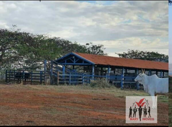 Fazenda/Sítios/Chácaras em Conquista - Centro