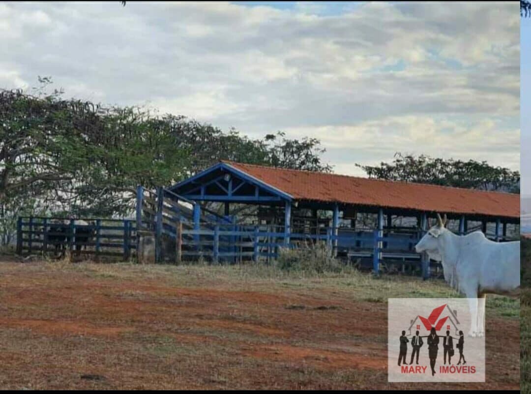 Fazenda/Sítios/Chácaras em Conquista - Centro
