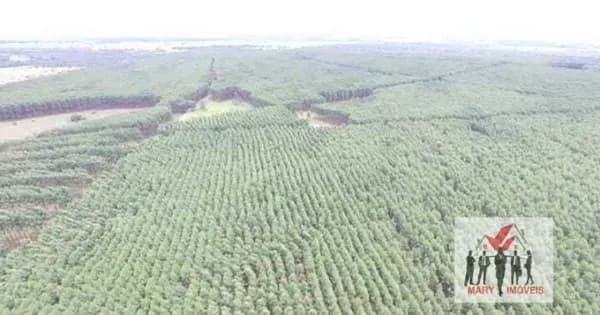 Fazenda/Sítios/Chácaras em Coromandel - Centro
