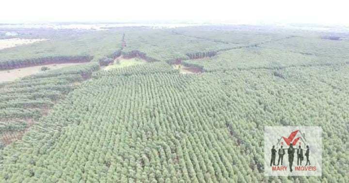 Fazenda/Sítios/Chácaras em Coromandel - Centro