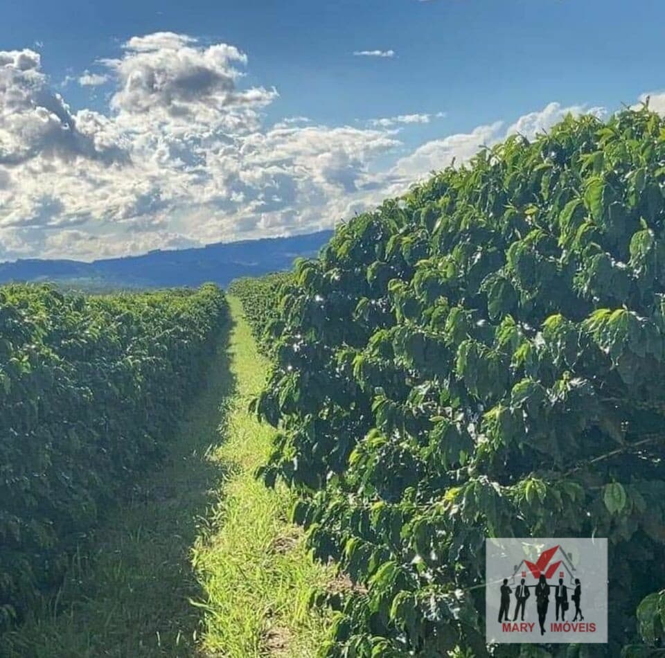 Fazenda/Sítios/Chácaras em Claraval - Centro