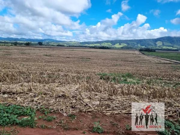 Fazenda/Sítios/Chácaras em Pouso Alegre - Centro